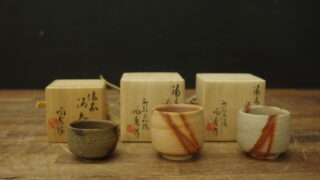 IMGP9467-320x180.jpg