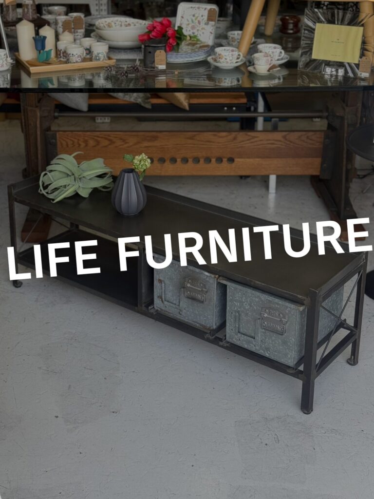 LIFE FURNITURE（ライフファニチャー）FB TVボード テレビ台用：木目調の天板と直線的なローボード形状、収納付きで配線しやすいシンプル設計